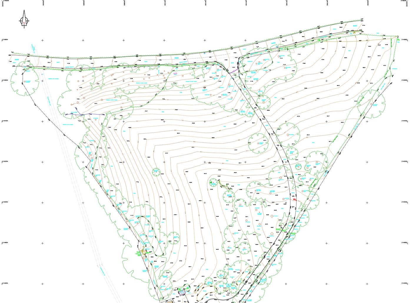 Topographical survey drawing of a sloping site showing contours, spot levels, tree canopies, boundaries and a private drive
